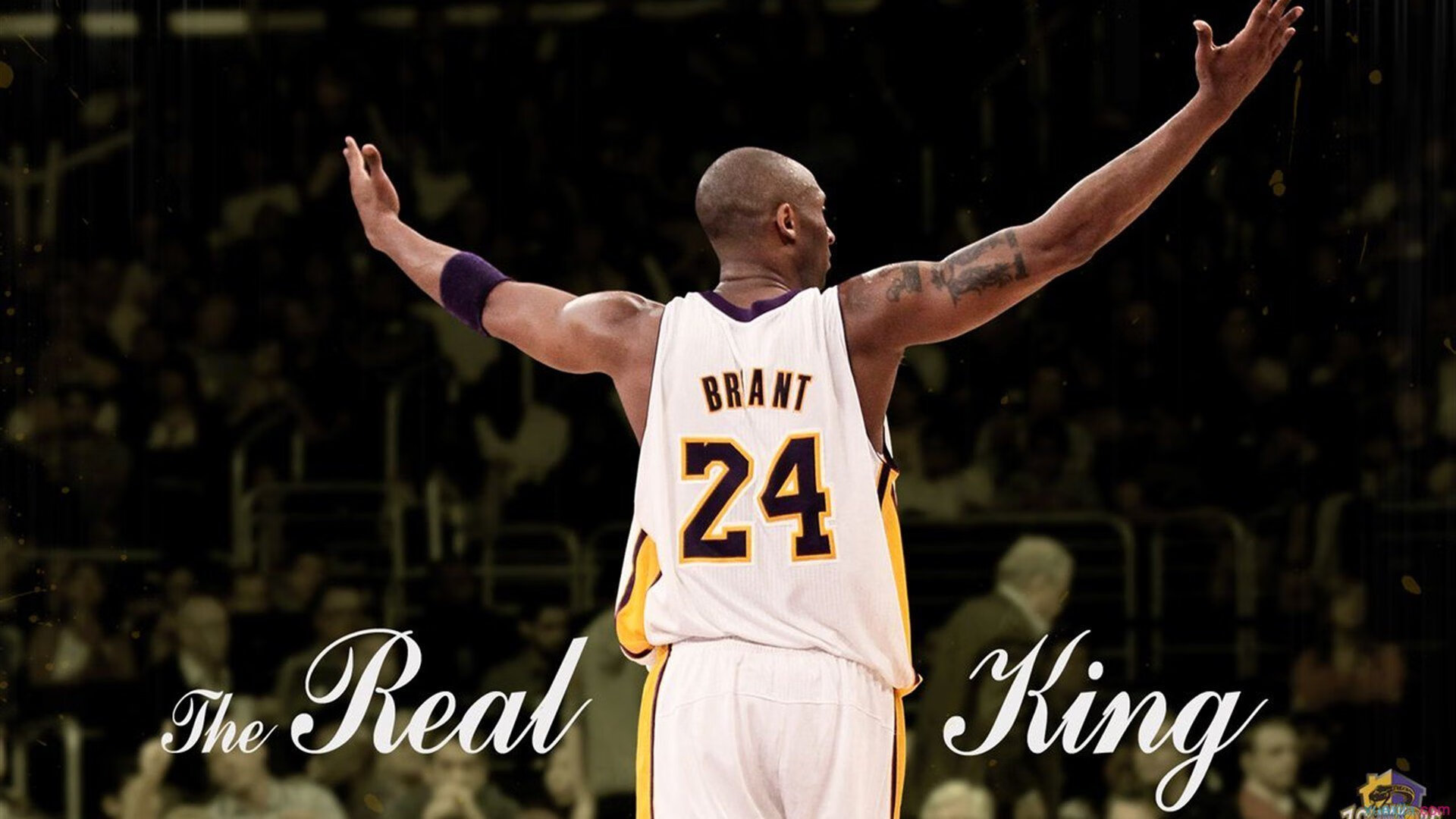 _鹈鹕持续磨合,展现潜力无限_,鹈鹕专区